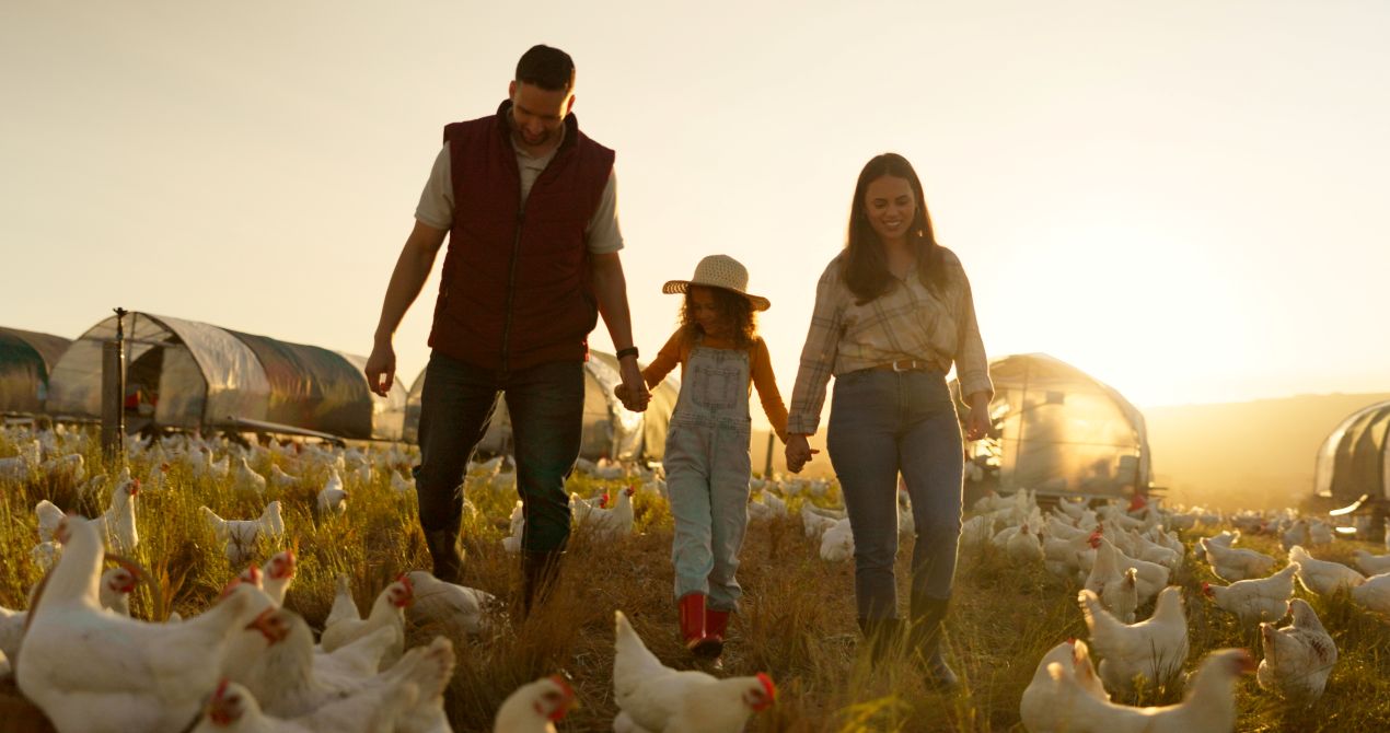 Eine Familie spaziert bei Sonnenuntergang durch ein Hühnergehege auf einem Erlebnisbauernhof NRW. Perfekter Ausflug für Naturfreunde und Kinder, um das Landleben hautnah zu erleben.