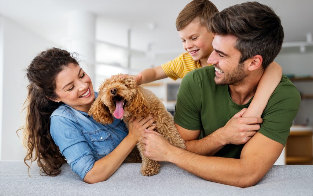 Glücklicher Hund mit Familie, Hundefutter für Allergiker