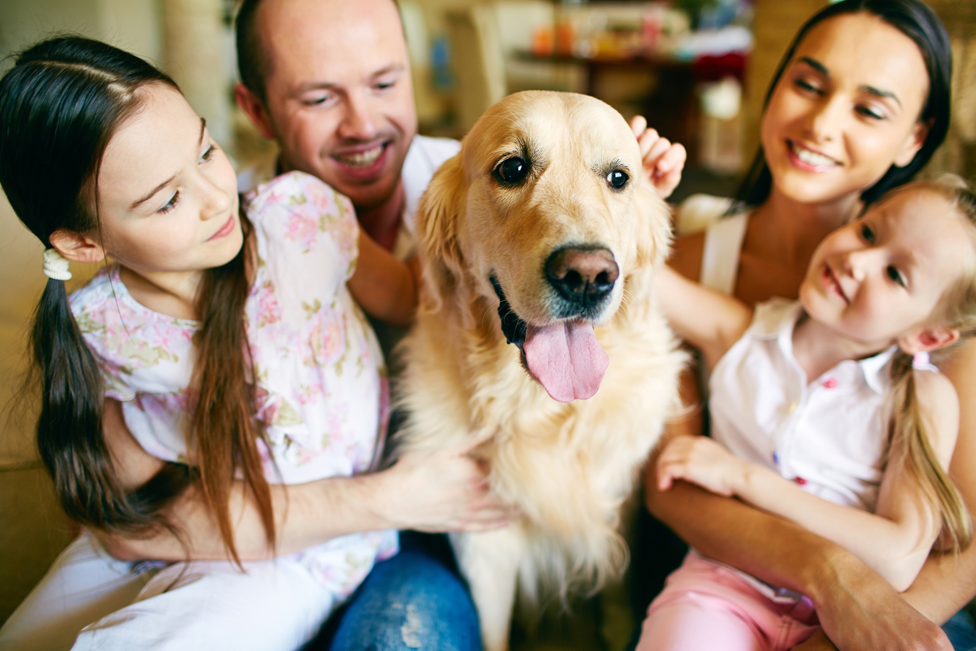 Familienhund im Mittelpunkt, Hundefutter für Allergiker