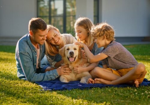 Zusammenwachsen beim zusammen Wachsen – Kind und Hund im Alltag